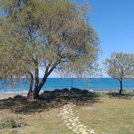 Relax House * Maleme (Crete)